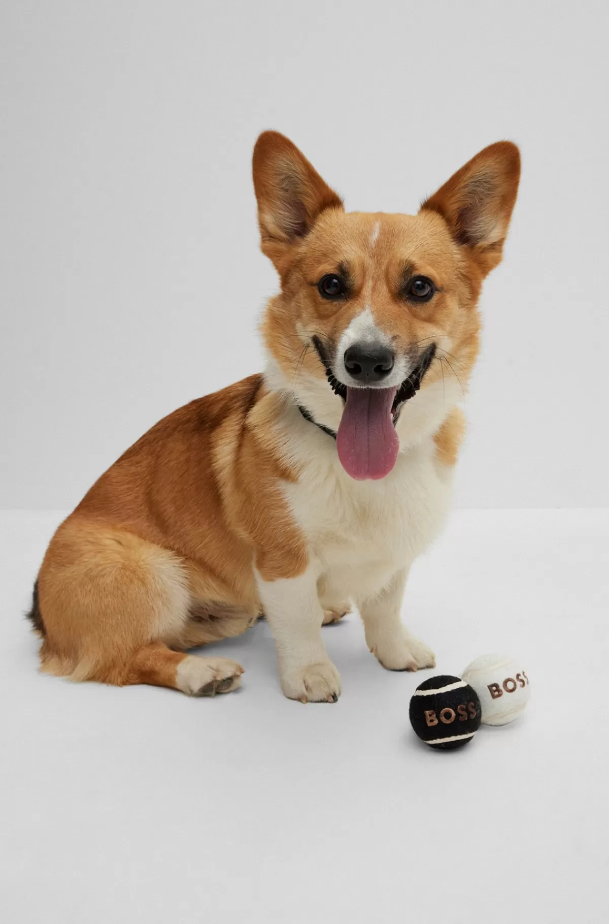 HUGO BOSS Boldsæt Til Hunde Hvid Sale