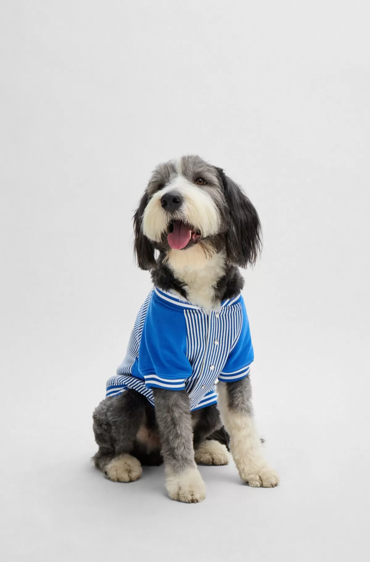 HUGO BOSS Bomberjakke Til Hund Med Broderet Logo Blå Cheap