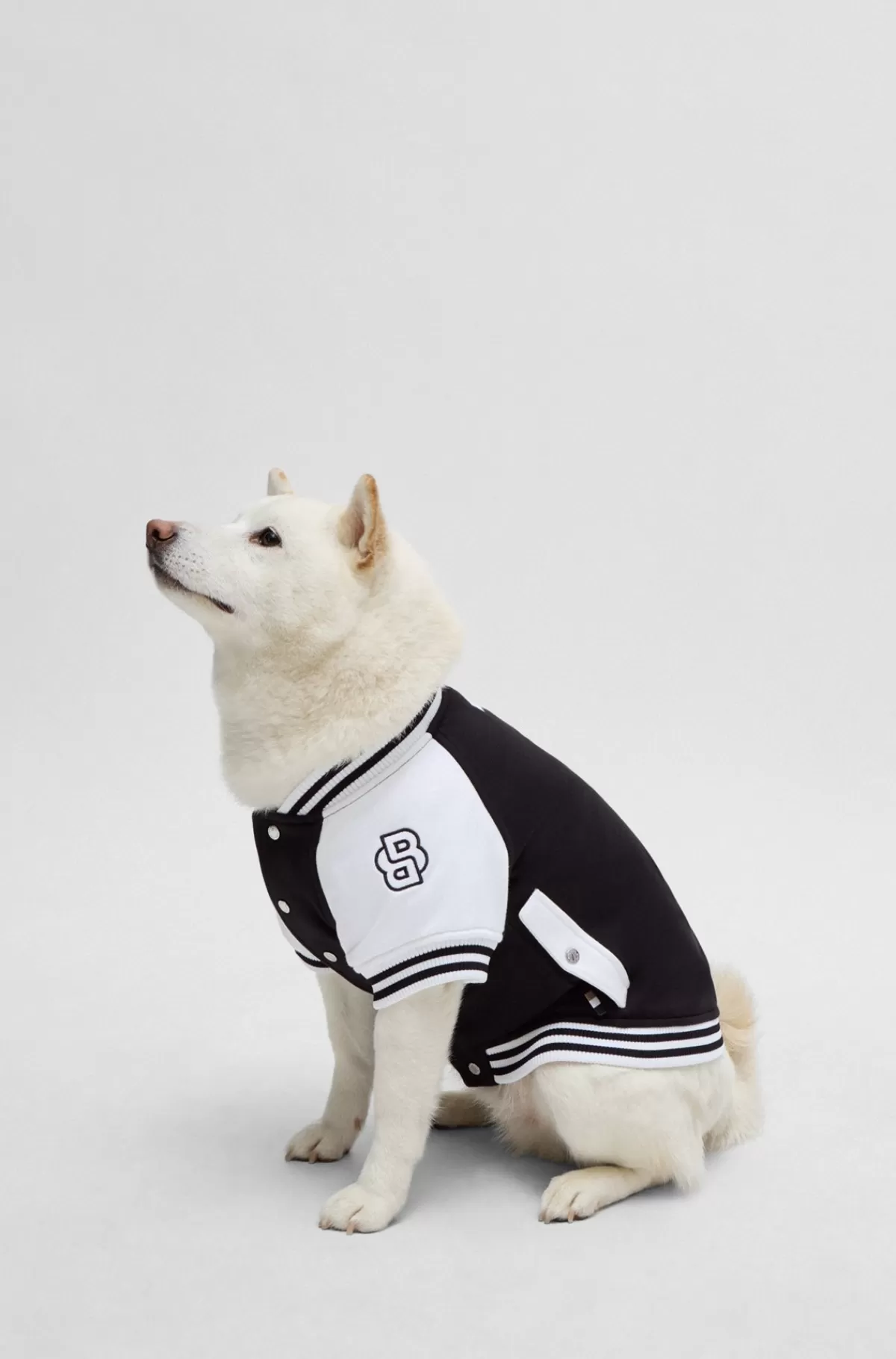 HUGO BOSS Bomberjakke Til Hund Med Broderet Logo Sort Cheap