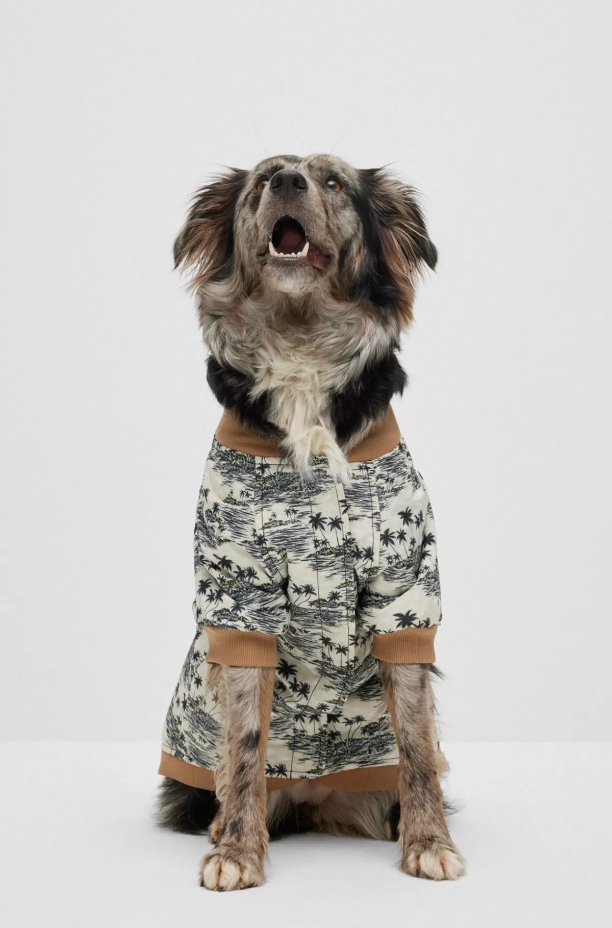HUGO BOSS Bomberjakke Til Hunde Lys beige Hot