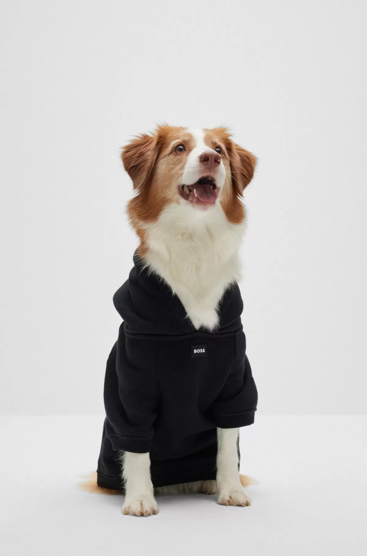 HUGO BOSS Hættetrøje Til Hunde I Bomuldsblanding Med Logo I Kontrastfarve Sort Best Sale