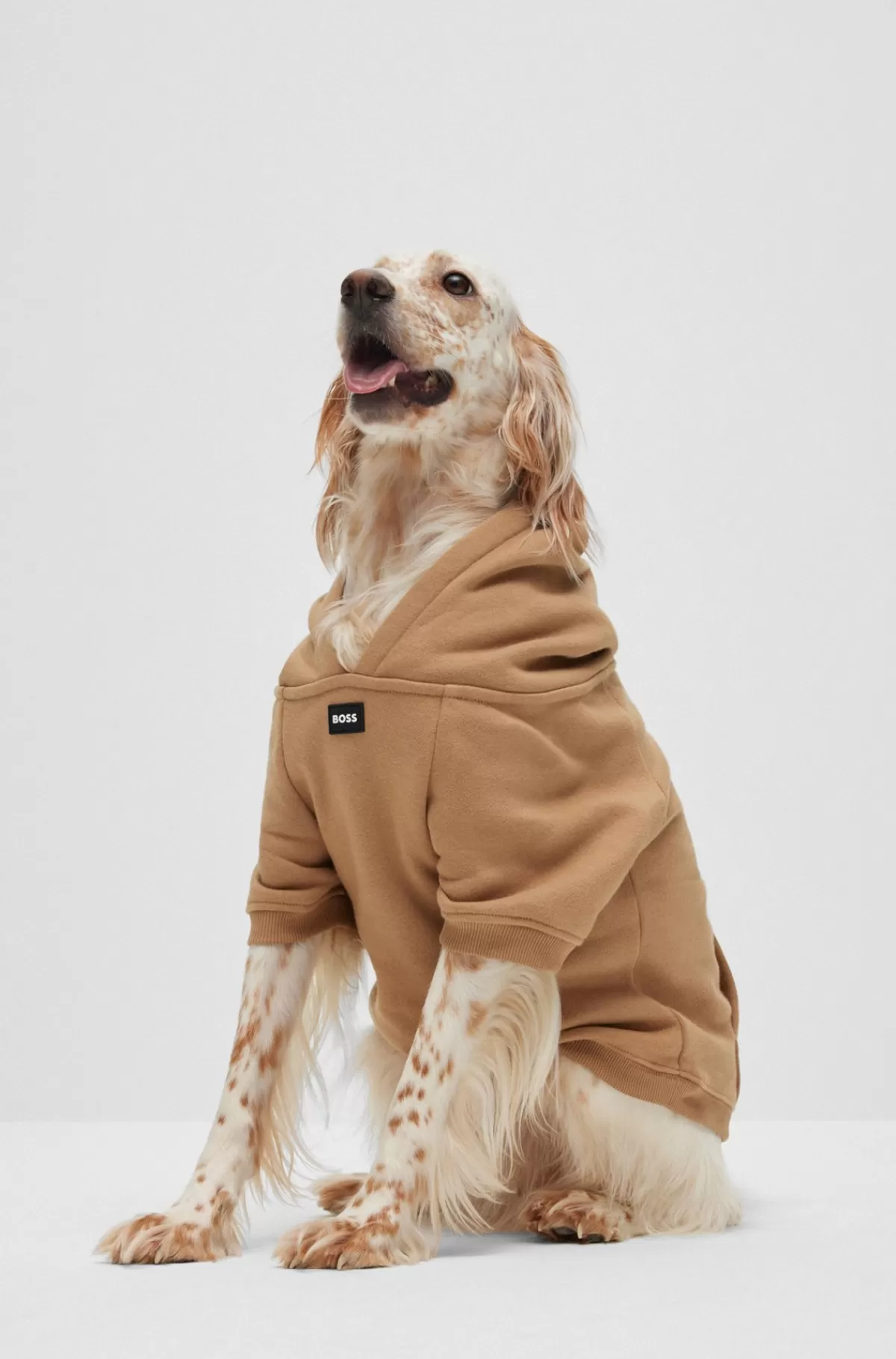 HUGO BOSS Hættetrøje Til Hunde I Bomuldsblanding Med Logo I Kontrastfarve Beige Shop