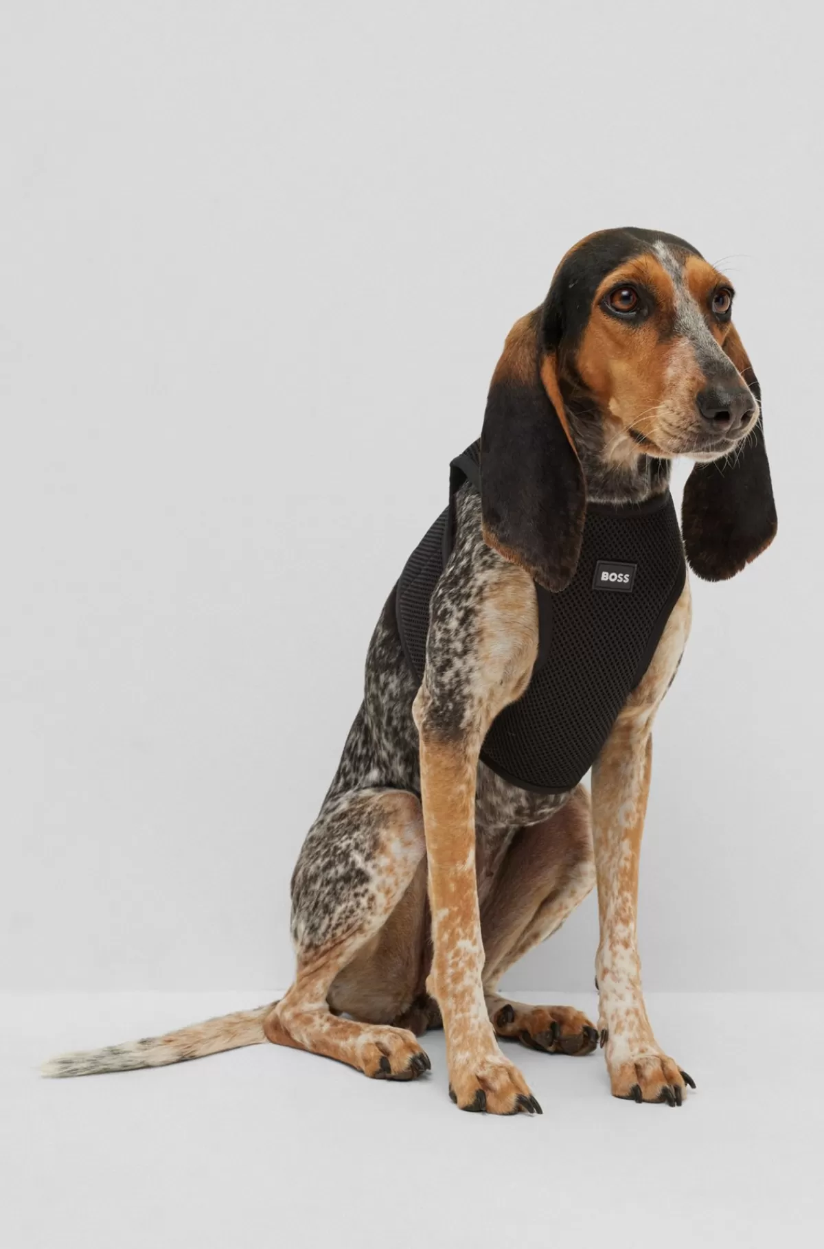 HUGO BOSS Hundesele I Netstof Med Ikonisk Stribe Sort Shop