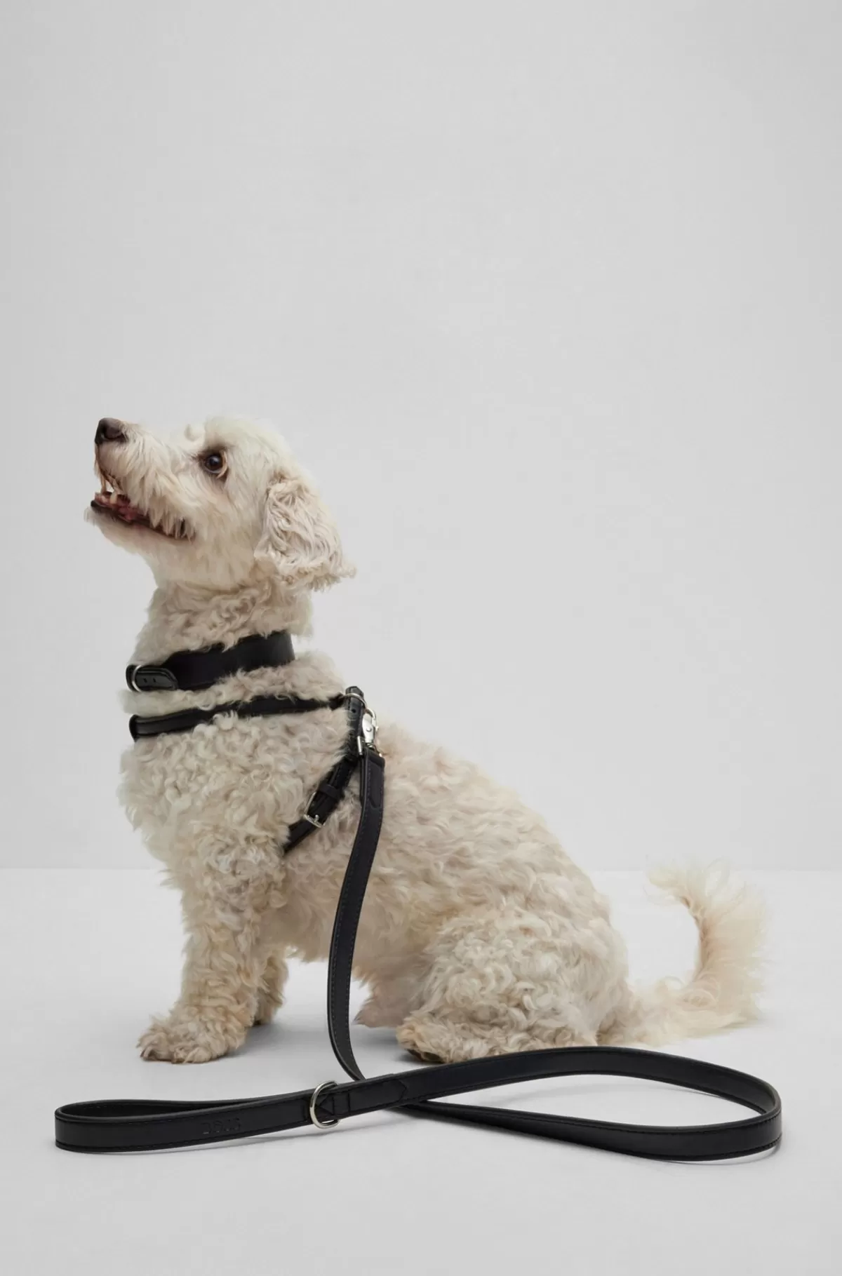 HUGO BOSS Hundesnor I Genbrugt Læder Sort Shop