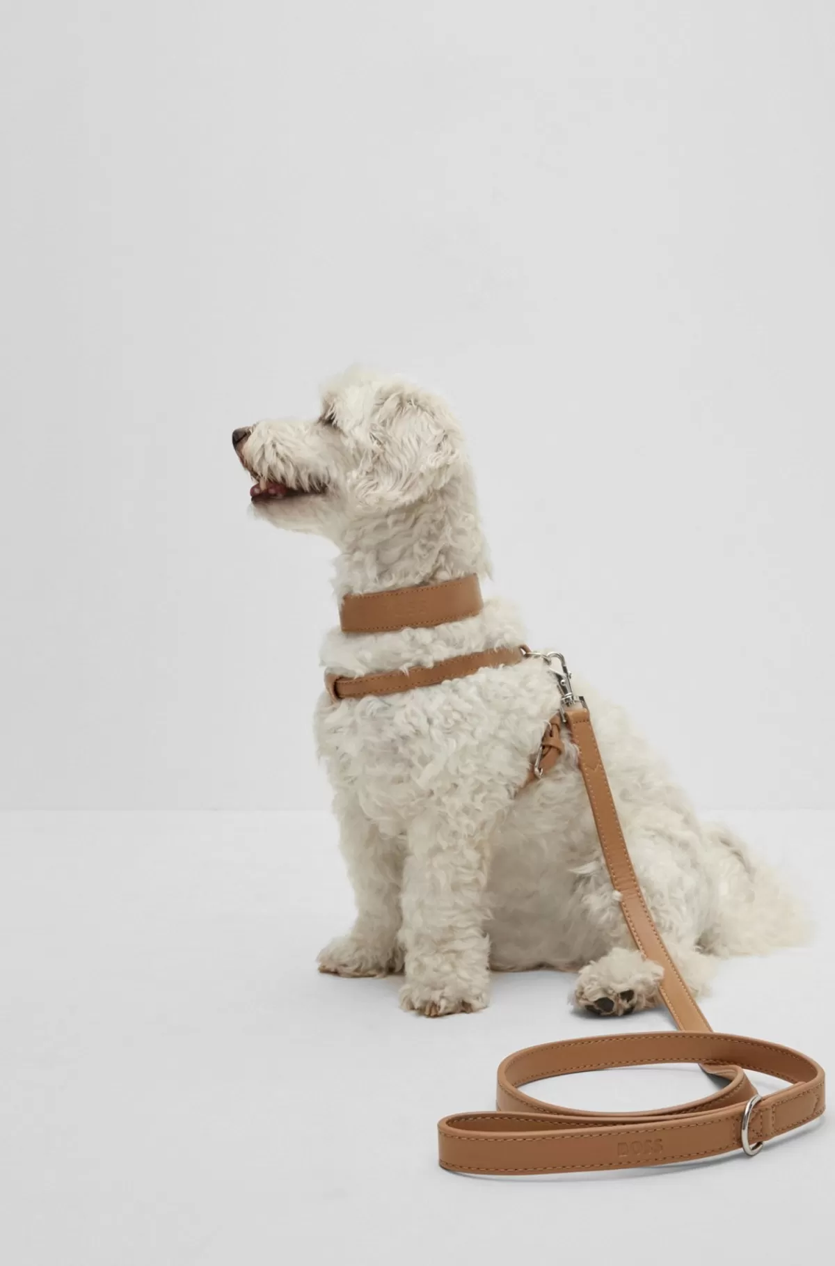 HUGO BOSS Hundesnor I Genbrugt Læder Beige Store