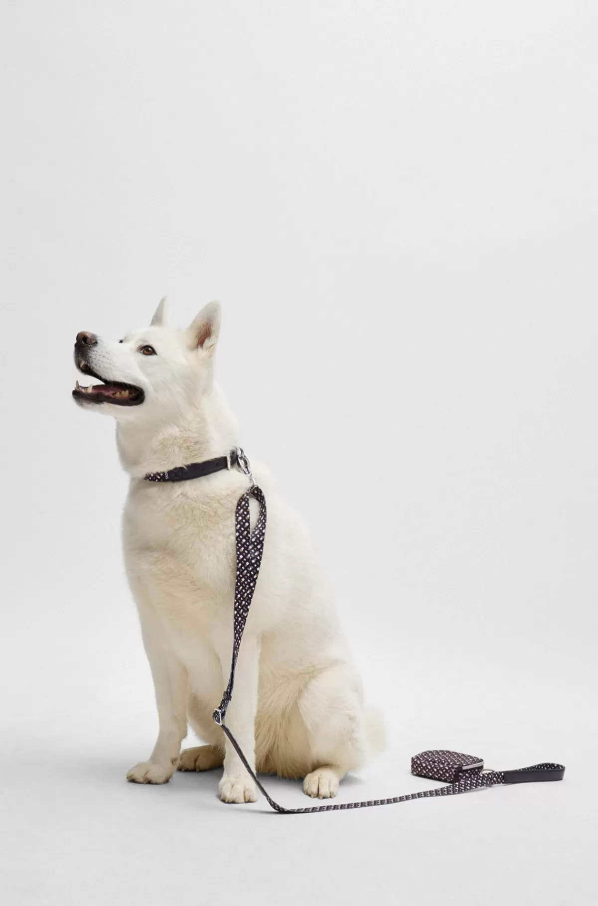 HUGO BOSS Hundesnor Med Præget Logo Sort Store