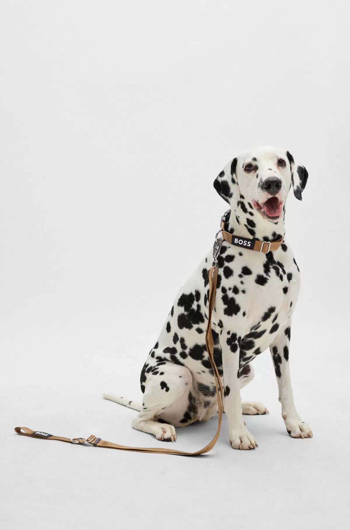 HUGO BOSS Hundesnor Pyntet Med Jacquard-logo Beige New
