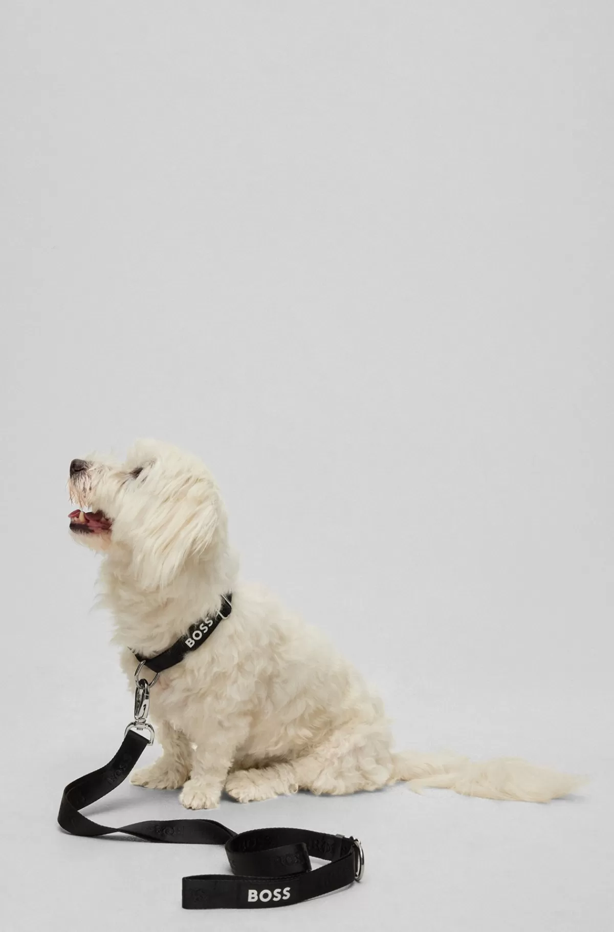 HUGO BOSS Hundesnor Pyntet Med Jacquard-logo Sort Clearance