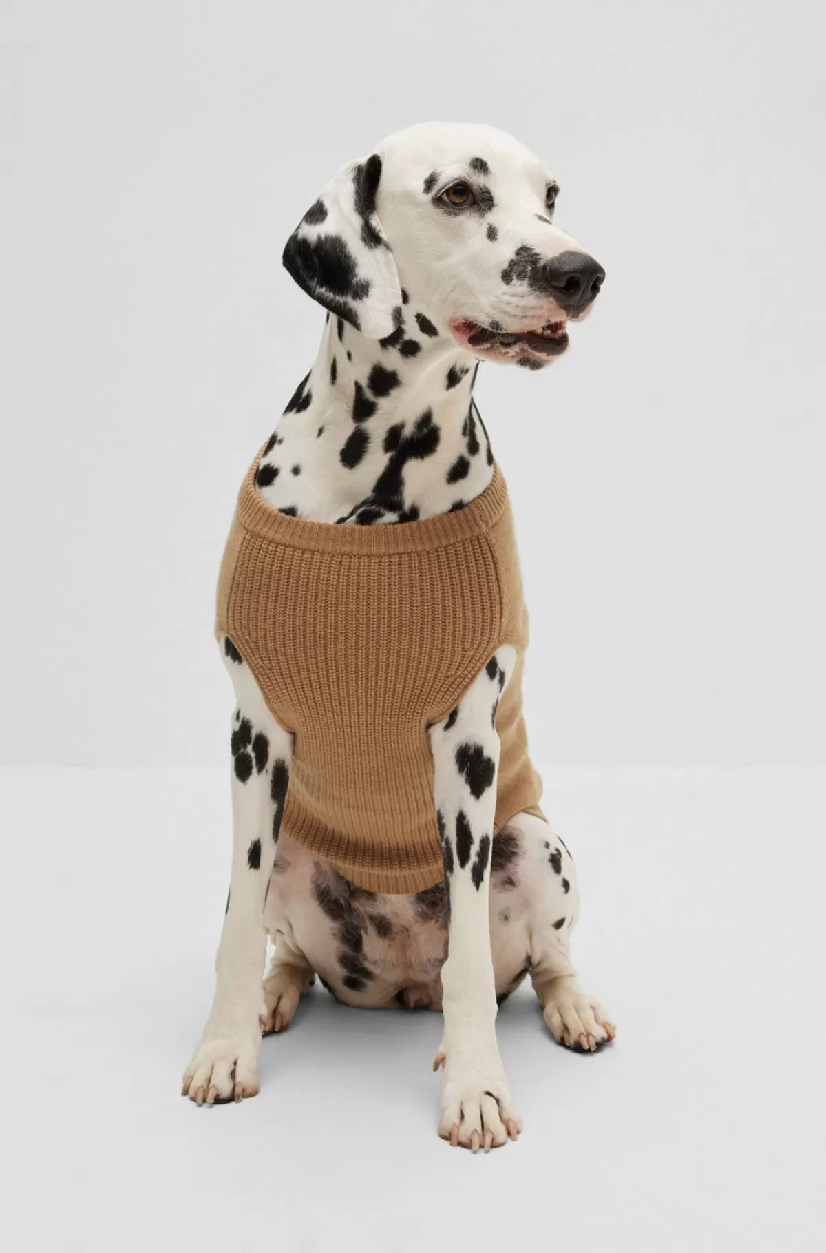 HUGO BOSS Hundesweater I Uld Og Cashmere Beige New