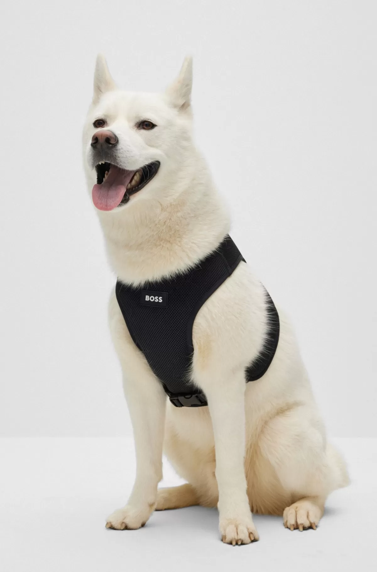 HUGO BOSS Justerbar Hundesele Med Signaturstribe Sort Cheap