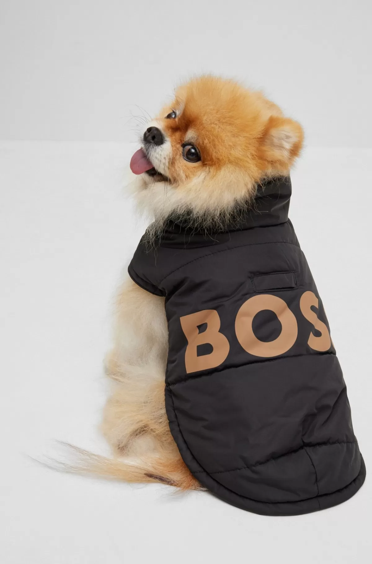 HUGO BOSS Polstret Jakke Til Hunde Med Kontrastlogo Sort Online